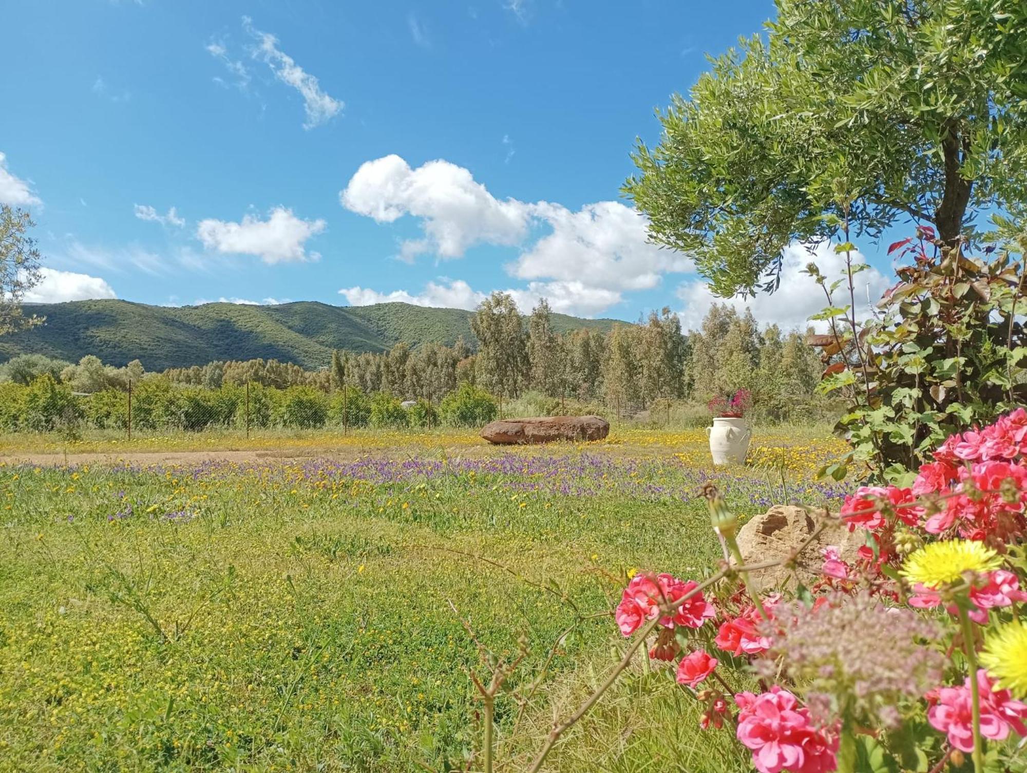 B&B Sensorial Experience Villamassargia Luaran gambar